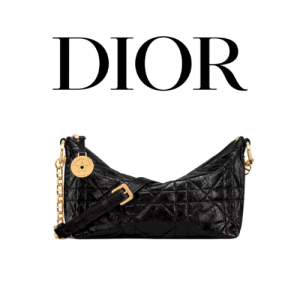 DIOR Star 체인 호보백