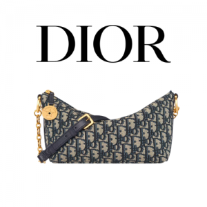 DIOR Star 체인 호보백
