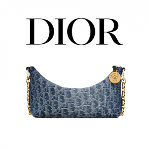 DIOR Star 체인 호보백