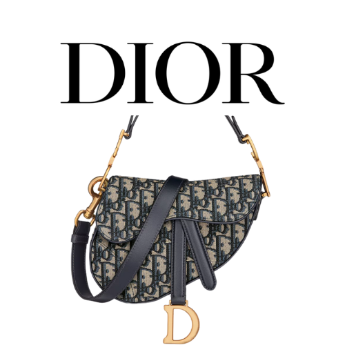 DIOR Saddle 미니 스트랩백