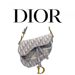 DIOR Saddle 리미티드 스트랩백