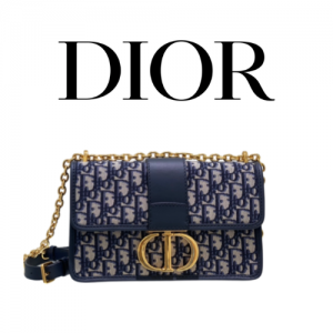 DIOR 30 Montaigne East-West 체인 백