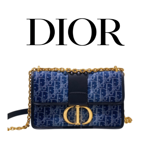 DIOR 30 Montaigne East-West 체인 백