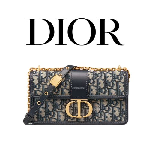 DIOR 30 Montaigne East-West 체인백