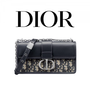 DIOR 30 Montaigne East-West 미니 체인 백