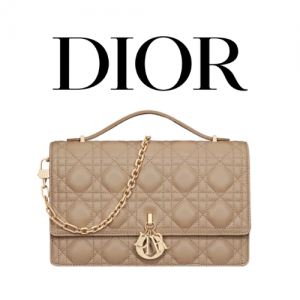 DIOR My Dior 탑 핸드 백
