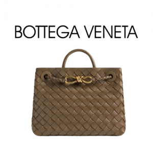 BOTTEGA VENETA 스몰 안디아모