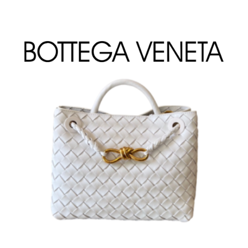 BOTTEGA VENETA 스몰 안디아모