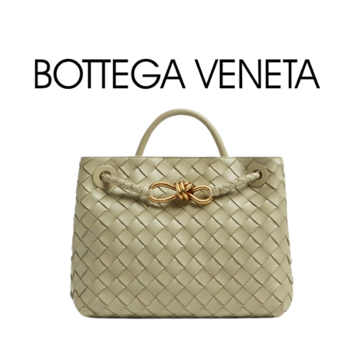 BOTTEGA VENETA 스몰 안디아모