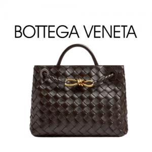 BOTTEGA VENETA 스몰 안디아모