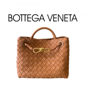 BOTTEGA VENETA 스몰 안디아모