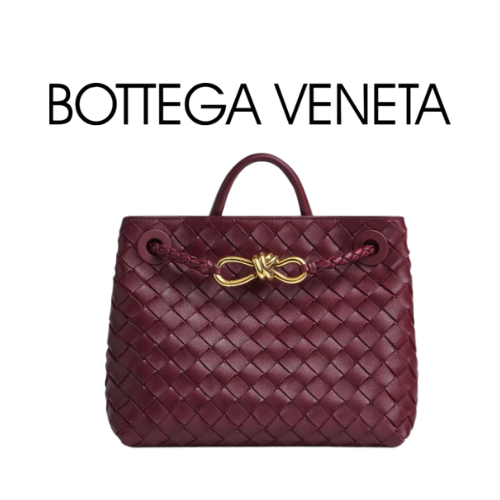 BOTTEGA VENETA 스몰 안디아모