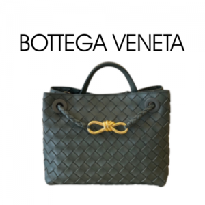 BOTTEGA VENETA 스몰 안디아모