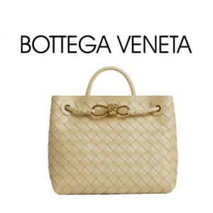 BOTTEGA VENETA 스몰 안디아모