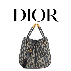 DIOR Nolita 미디엄 백