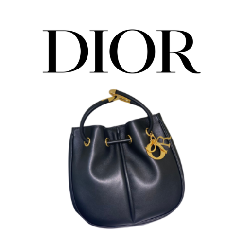 DIOR Nolita 미디엄 백