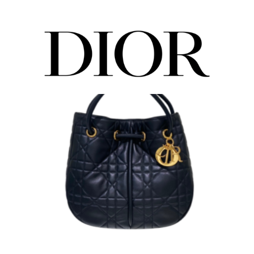 DIOR Nolita 미디엄 백
