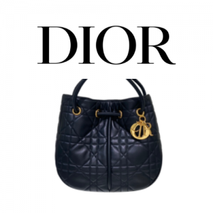 DIOR Nolita 미디엄 백