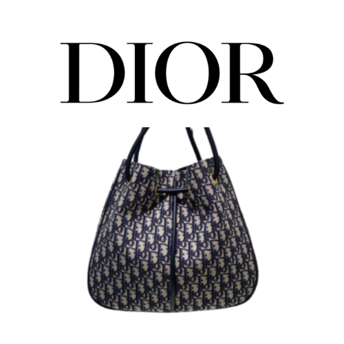 DIOR Nolita 라지 백