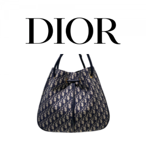 DIOR Nolita 라지 백