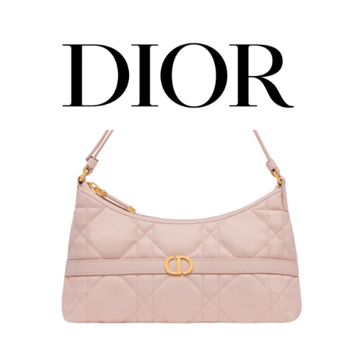 DIOR Miss Caro Cigale 미니 백