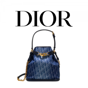 DIOR C'est Dior 미디엄 백