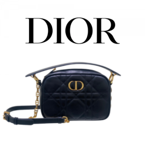 DIOR Caro 스몰 탑 핸들 카메라 백