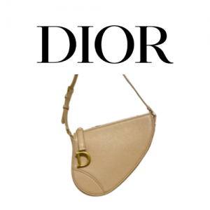 DIOR Saddle Rodeo 파우치