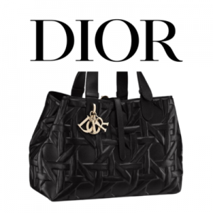 DIOR Toujours 라지 백