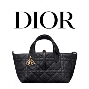 DIOR Toujours 스몰 백