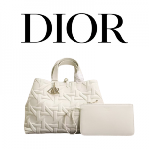 DIOR Toujours 스몰 백