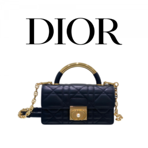 DIOR Ange 미니 백