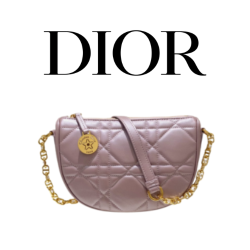 DIOR 칼리스토 체인 백