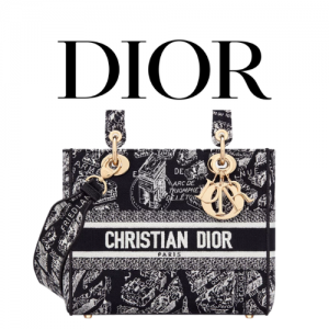 DIOR Lady D-Lite 미디엄 백