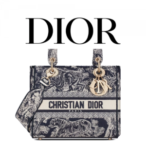 DIOR Lady D-Lite 미디엄 백