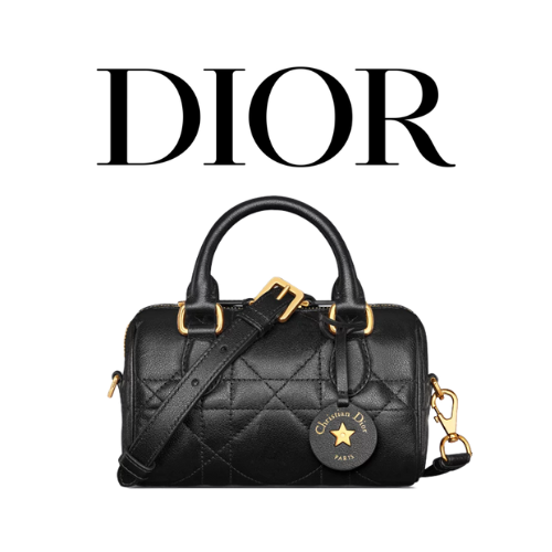 DIOR Groove 17 나노 백