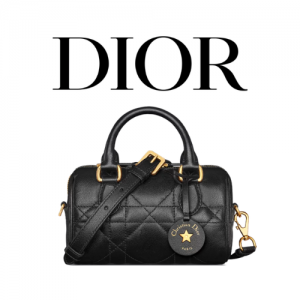 DIOR Groove 17 나노 백