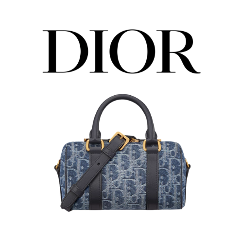 DIOR Groove 17 나노 백