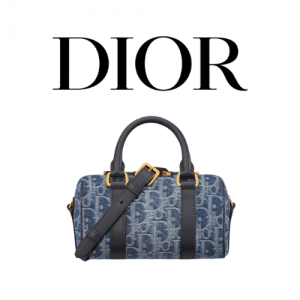 DIOR Groove 17 나노 백