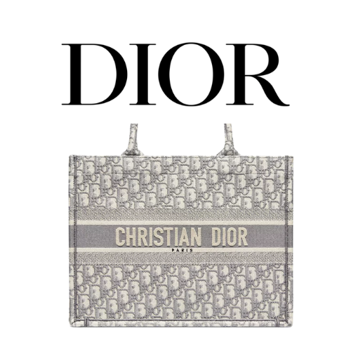 DIOR Book Tote 미디엄 백