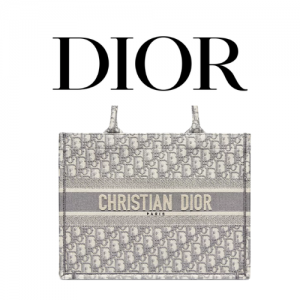 DIOR Book Tote 미디엄 백