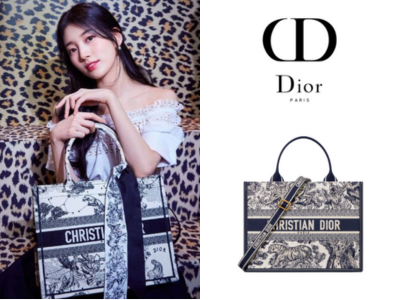DIOR Book Tote 미디엄 백