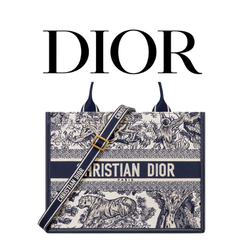 DIOR Book Tote 미디엄 백