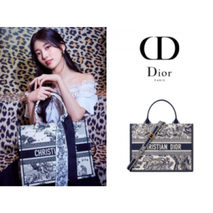 DIOR Book Tote 미디엄 백