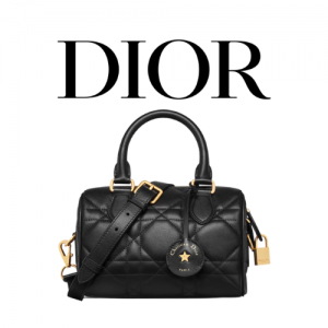 DIOR Groove 20 백