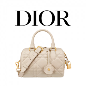DIOR Groove 20 백
