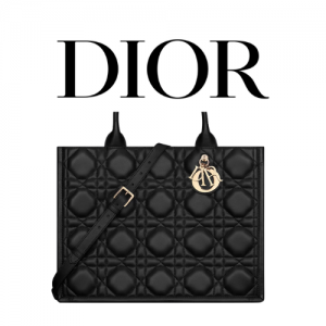 DIOR Book Tote 미디엄 백