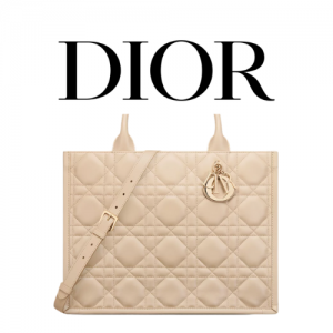 DIOR Book Tote 미디엄 백