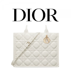DIOR Book Tote 미디엄 백