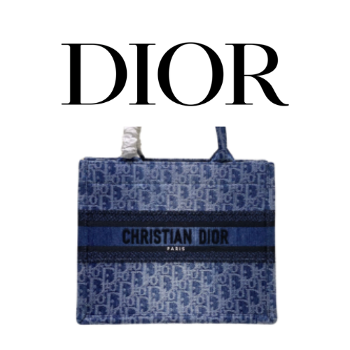 DIOR Book Tote 스몰 백
